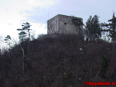 Ruine Hollenburg-Bertholdstein / Niederösterreich