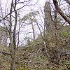 Ruine Schimmelsprung / Niederösterreich