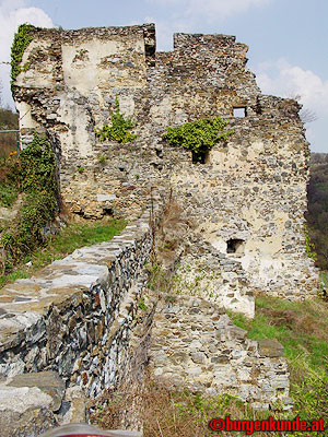 Ruine Senftenberg / Niederösterreich