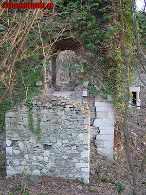 Ruine Scharfeneck bei Mannersdorf am Leithagebirge