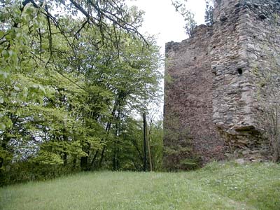 Ruine Schwarzau