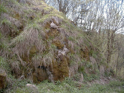 Ruine Blankenberg