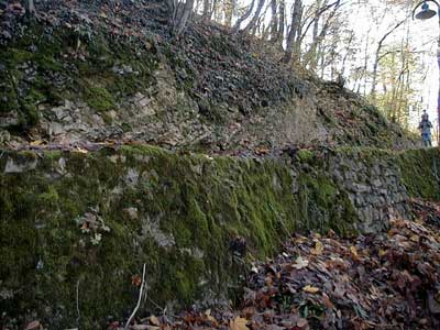 Ruine Dachsberg