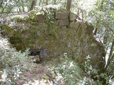 Ruine Mitterberg