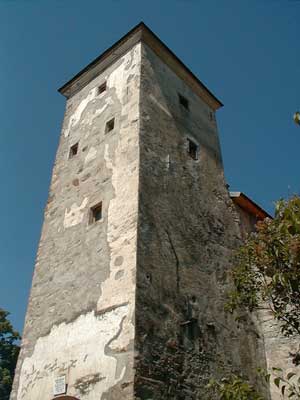 Burgruine Reichenau
