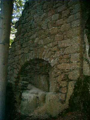 Ruine Saxenegg
