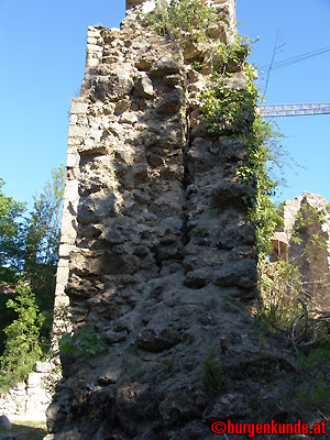 Ruine Windhaag / Oberösterreich